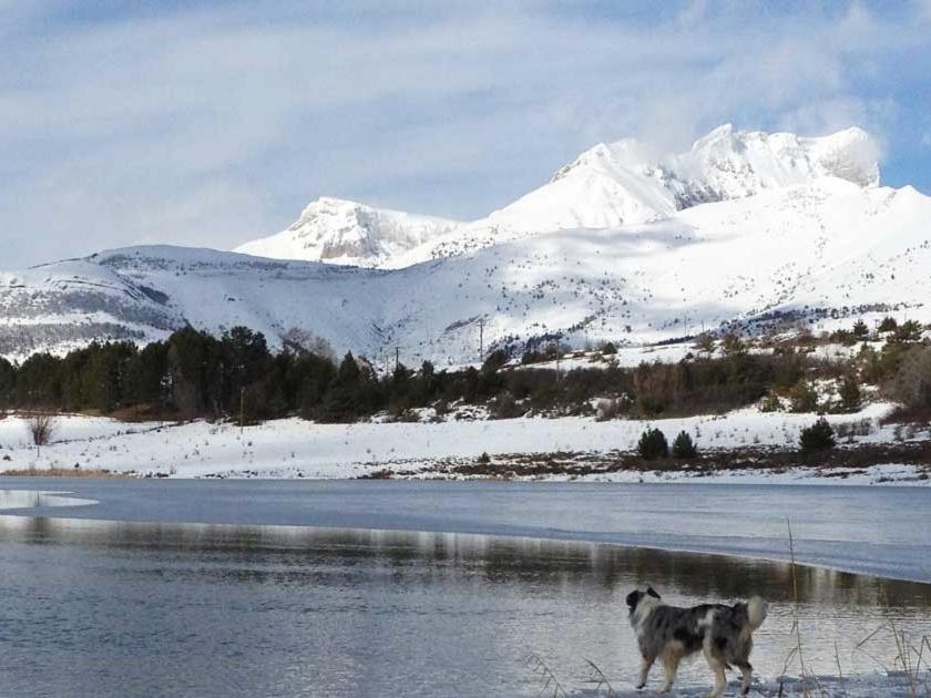 Gite Basse Correo La Freissinouse المظهر الخارجي الصورة